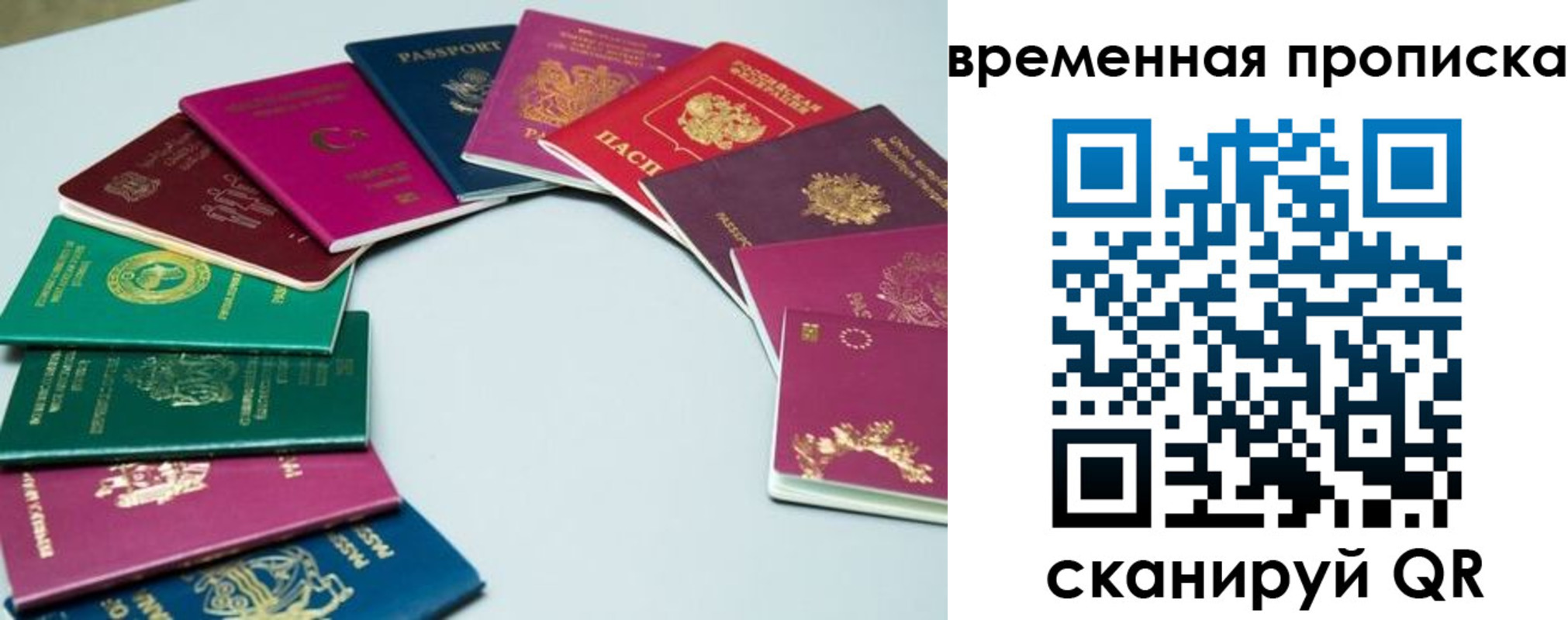 найти адрес прописки в Белоозёрском
